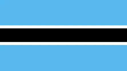 Botswana flag icon